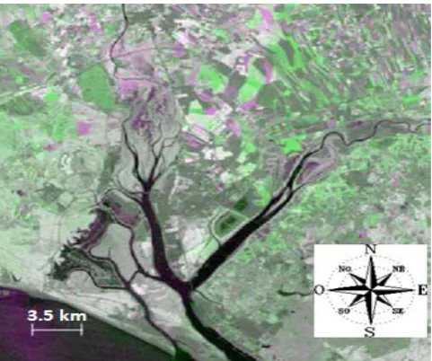 Fig. 12.  Detected changes in Odiel Marshes between 2005-2010.   