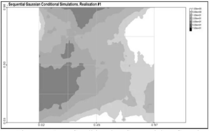 Figure 7. Conditional Sequential Gaussian Simulations. Realization #1.