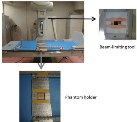 Figure 2. Schematic of the JSGI phantom. 