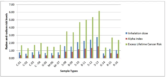 Figure 3. Description of the Average Radon Risk Level in Different Parameters for each Sample