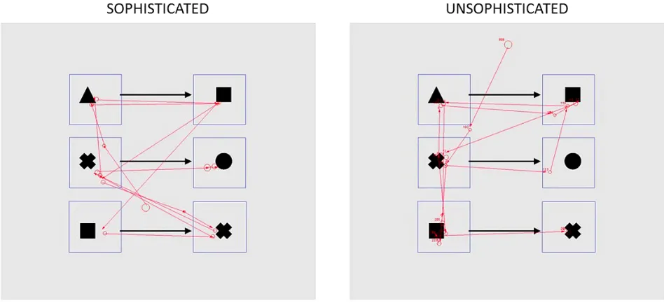 Figure 1.6. Examples of visual analysis of sophisticated and unsophisticated participants in the 