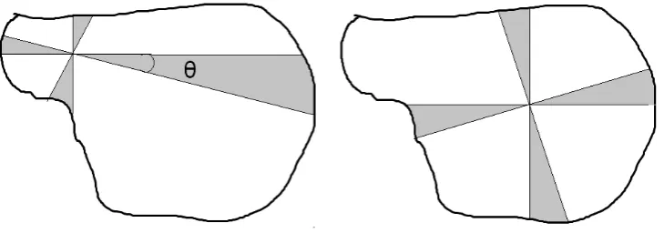 Fig. 1. Area of each sector depends on the location of pivot point