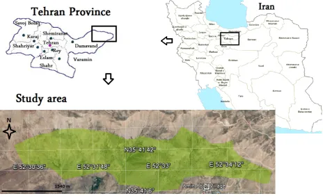 Fig. 2. Location of the study area (green area shows the juniper stand boundary)