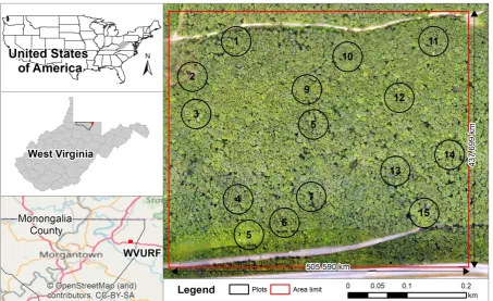 Figure 1. Study site location. Sources: top two left, vector files from the US Census Bureau website, and bottom left map from © OpenStreetMap (and) contributors, CC-BY-SA, and in the right, data imagery obtained from the UAV collection