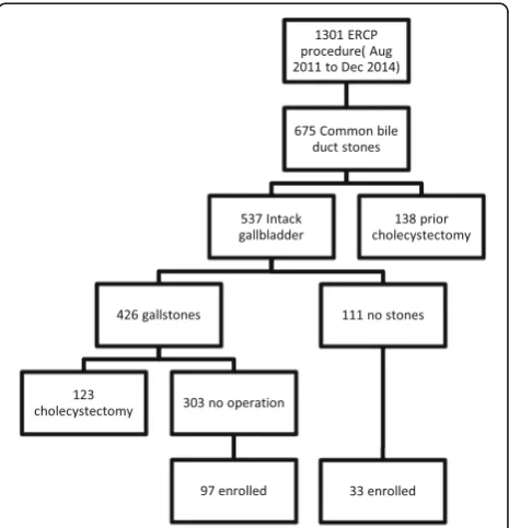 Fig. 1 Algorithm of patients enrolled to study