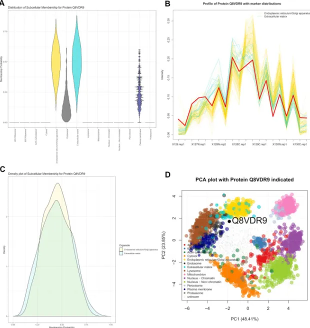 Fig 10. Q8VDR9 showing localisation to the outlier component. (a) The violin plot shows uncertain localisation between several sub-cellular niches