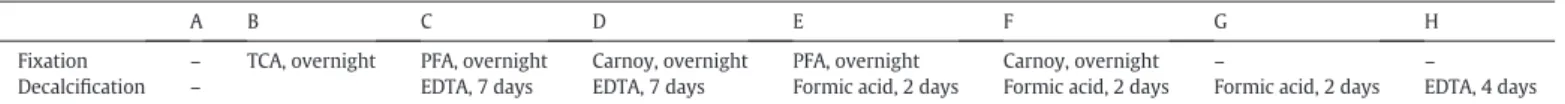 Fig. 1. Histological observations of femurs and tibiae ﬁxed and decalciﬁed with each solution by hematoxylin-eosin (H-E), Alcian blue, Azan, and Periodic Acid-Schiff (PAS) staining
