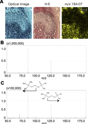 Fig. 5. MS-MS data at m/z 184.07 in sections and an authentic sample of phosphocholine.