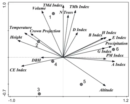 Fig. 6. Ordination diagram showing the results of PCA analysis of relationships between living tree characteristics (N trees, DBH, Height, Volume and Canopy), stand param-eters (Altitude, Temperature, Precipitation) and structural indices (D index, E index, H index, CE index, PM index, A index, TMd index, TMh index, G index, B index)