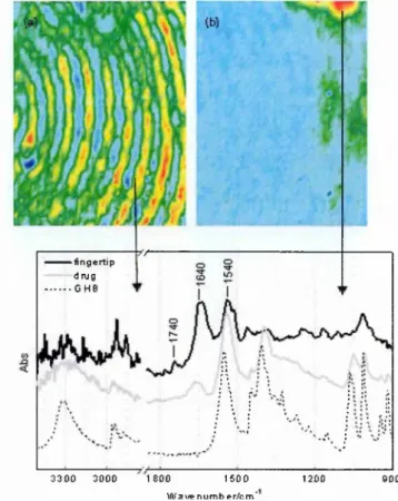 Figure  1-18:  Attenuated total reflectance -  Fourier transform infra-red (ATR-FTIR) image  of a fingerprint showing (a) the protein distribution in the mark and (b) a microparticle of