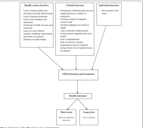 Figure 1 Overview of health system and societal barriers.