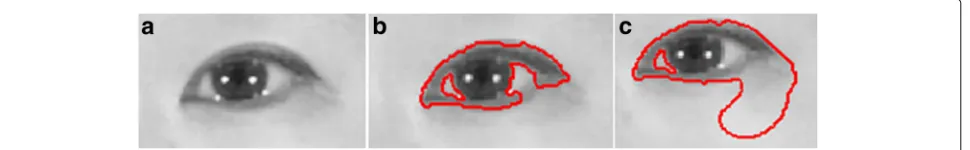 Fig. 1 Pre-processing results. a eye image with some uneven illumination, b-c extracted eye contour by LAC model when parameters of initialevolving curves are not properly identified