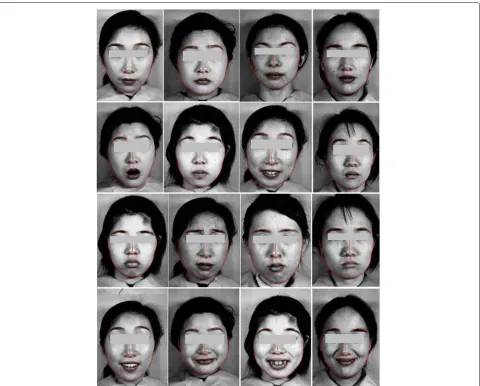 Fig. 5 Sample results of our proposed approach for facial feature extraction based on Ensemble of Regression Trees (ERT) model as applied in JAFFEdataset [22]