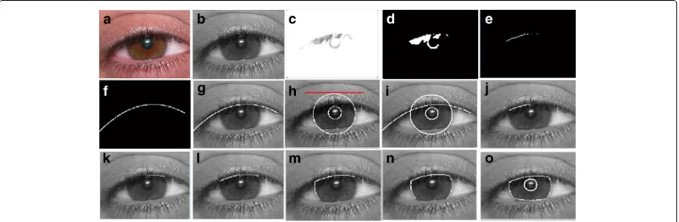 Fig. 6 Extracted iris using our proposed approach based on Daugman’s algorithm. (employing parabolic function (2results using our optimized Daugman’s algorithm; and (a) converted gray scale image; (b) upper edge of the eye withgray thresh level of 0.9; (c) equivalent binary form of the detected upper eyelid; (d) data points of the upper eyelid; (e)-(f) upper eyelid as a result ofnd degree polynomial); (g) result of Daugman’s Integro-Differential operator iris detection; (h)-(n) eyelid detectiono) final results of detecting iris boundaries with superior or upper eyelid occlusion