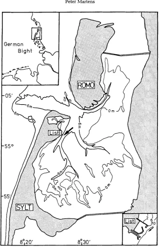Fig. 1. Map of the northern Wadden Sea of Sylt with the sampling location Lister Ley (see arrow)