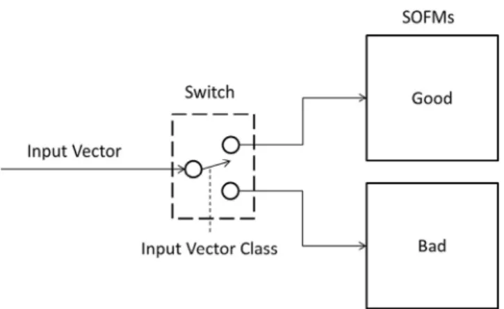 Fig. 2 – Training the SOFMs from labelled input vectors.