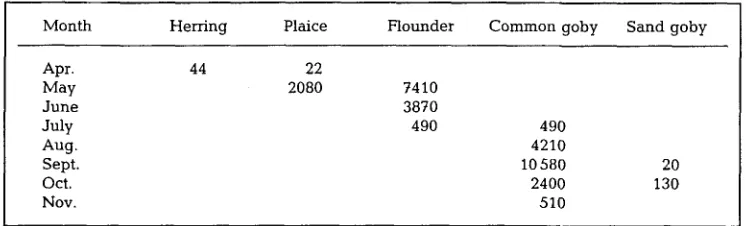 Table 4a. Maximum density (n/1000 m 2) of juvenile fishes in the tidal pools at Friedrichskoog in 1986 