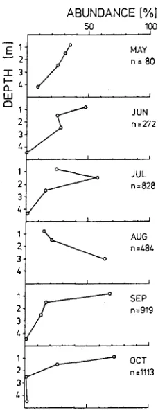 Fig. 3. Abundances of juvenile plaice in relation to waterdepth in the upper sublittoral of a channel during low water (n = total number of plaice caught) 