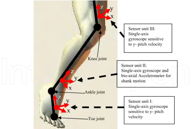 Fig. 9. Position and coordinates of the sensor units. In the local orientation coordinate of the  sensor unit (x-, y- and z- axis), the y-axis denotes each joint’s rocker axis, which is parallel to 