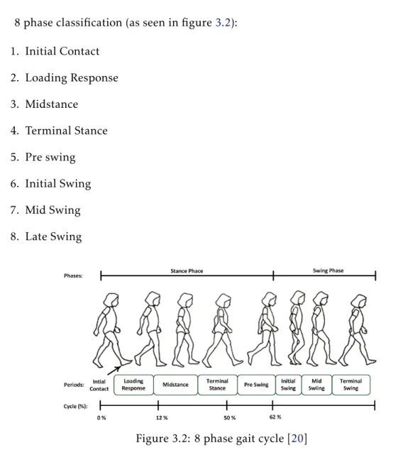 Figure 3.2: 8 phase gait cycle [20]