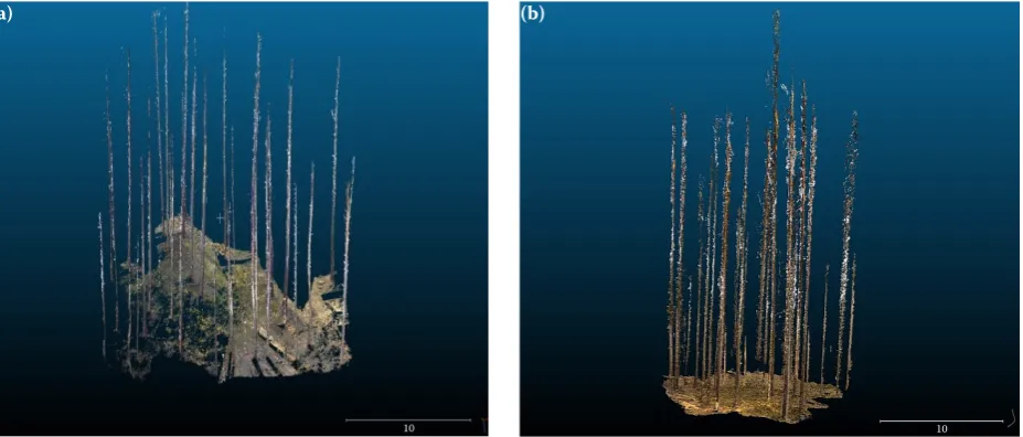 Fig. 2. Terrestrial laser scanner (a), digital camera (b) 3D model, both models after the image segmentation in RGB colours