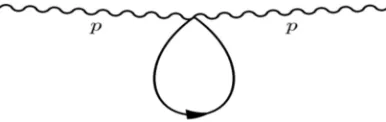 Figure 1. One loop diagram. 