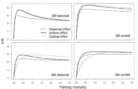 Figure  2.5: Y/R models  assuming effort is  distributed following the observed  pattern,  uniformly,  and  optimally on  Georges  Bank and  in the  mid-Atlantic under the  historical  and  current selectivity  patterns