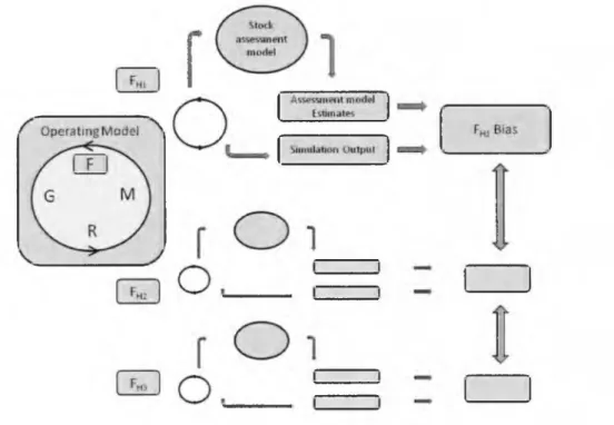 Figure 3.1:  General framework for the study in  section  3.3.  The  operating model  is  repeated  at differing  levels  of heterogeneity in fishing mortality and those outputs  are  used  as  inputs  into the stock 