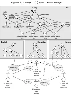 Figure 3.4: Example of four siblings of one family with the semantic field of “sibling”
