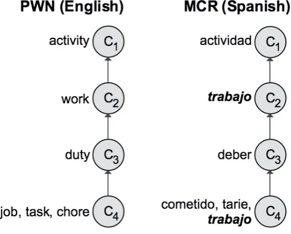 Figure 5.2: A psycholinguistic mistake in Spanish.
