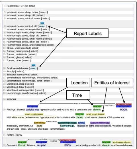 Fig. 1 Annotated example report displayed in the Brat annotation tool