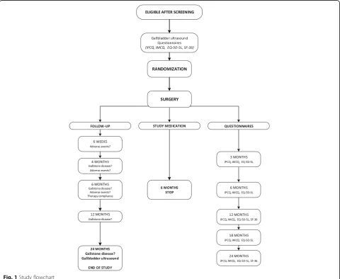 Fig. 1 Study flowchart