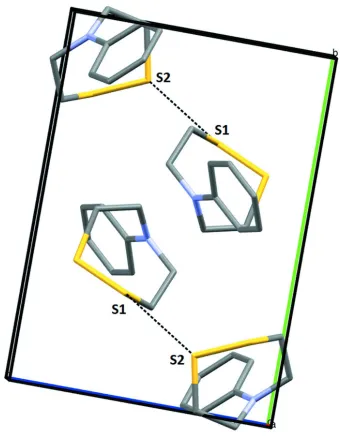 Figure 2Part of the crystal structure viewed along the a axis. Interactions are shown between S1 and S2 of molecules related by 