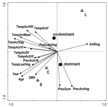 Fig. 4. Values of correlation coefficients of regional residual index tree-ring chronology of dominant and co-dominant trees with average monthly temperature (T) and precipitation (P) from May of the previous year (block letters) to August of the current year in the period 1981–2013values highlighted in black are statistically significant (α = 0.05), capital letters indicate the months of the previous year and the normal letters the months of the current (given) year