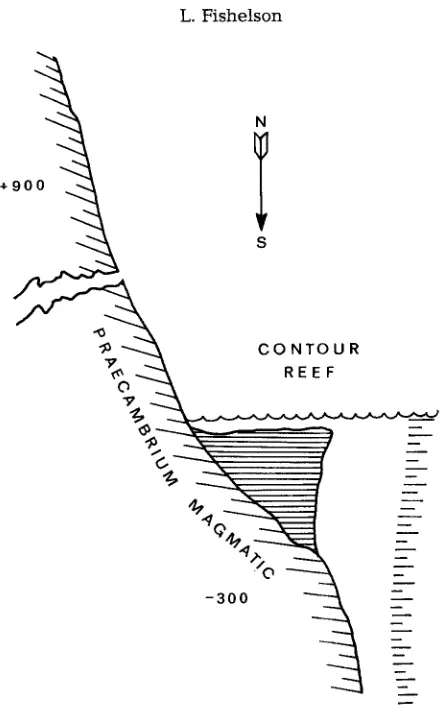 Fig. 4. Cross-section of a contour reef 