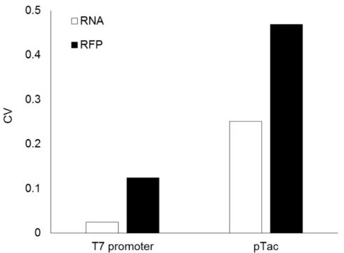 Figure 1. Variability of RNA and protein levels in an E. coli cell-free extract. Plotted data represent the coefficient of variation of RNA and RFP (white and black bars respectively) for both T7 and pTac promoters for reactions run on the same day with th