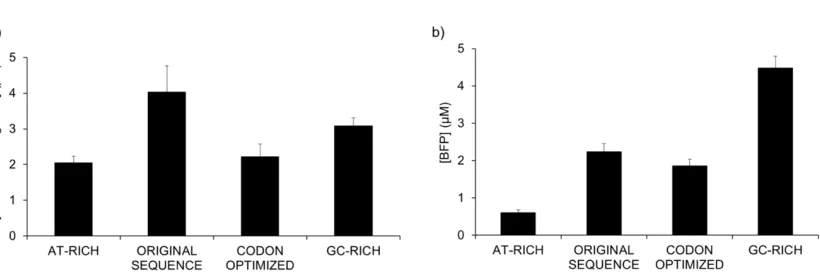 Figure 2. Different GC contents of BFP coding sequence lead to differences in translation but not transcription
