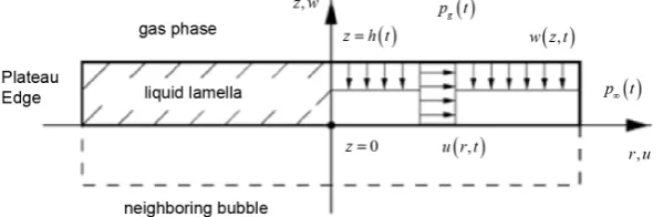 Figure 2. Pentagon dodecahedron bubble model [9]. 