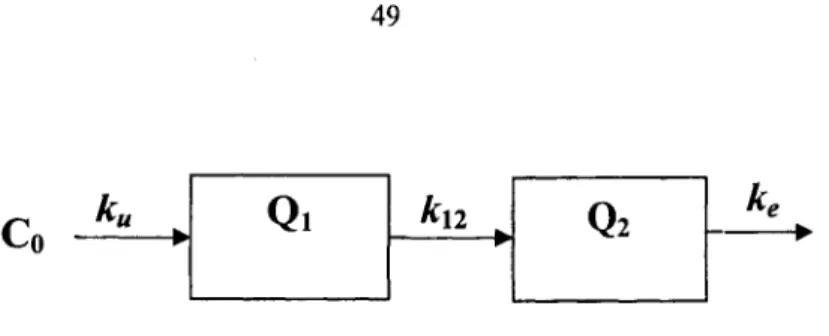 Figure 3.1. Schematic of a two-sequential-compartment model 
