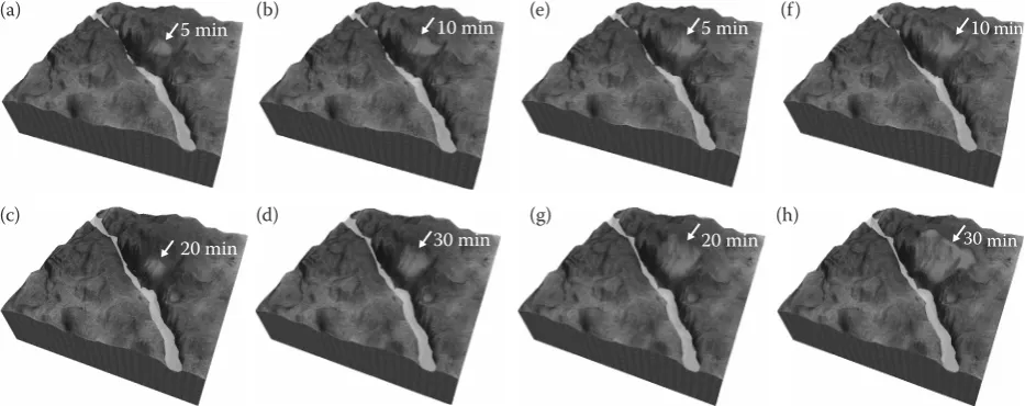 Fig. 2. Simulator software (FORENG 1.0.0) of surface fire