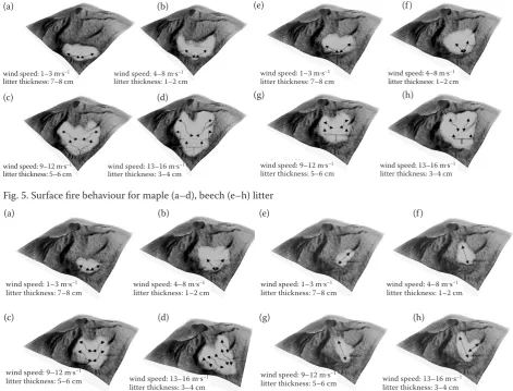 Fig. 5. Surface fire behaviour for maple (a–d), beech (e–h) litter