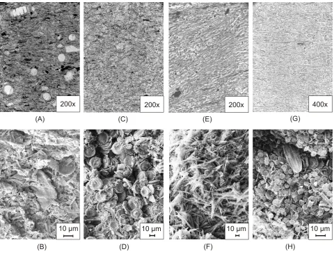 Fig. 3. Thin-section and scanning electron microscope photographs from different varve sub-layers from Dethlingen: (A, B) dark sub-layer; (C, D) light sub-layer type A; (E, F) light sub-layer type B; (G, H) light sub-layer type C.