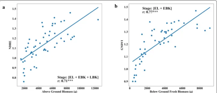Fig. 10  Relationship between fresh above-ground biomass (AGB) and fresh below ground biomass (BGB) of cassava with multi-temporal VIs  (Normalized Difference Red-Edge, NDRE and Green Normalized Difference Vegetation Index GNDVI) during trial two