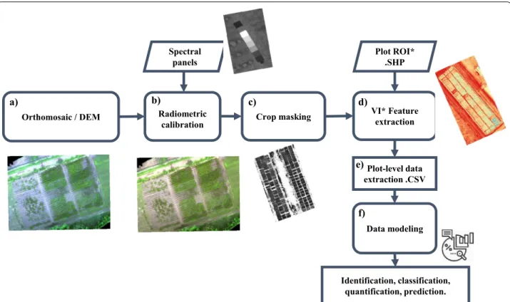 Fig. 3  CIAT Pheno-i workflow: Applying image processing for plot level data generation and use it on identification, classification, quantification  and prediction