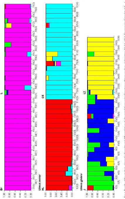 Fig. 3. Results of the analysis of genetic diversity and differentiation of elm populations using Structure software package (Admixture Model, Allele Frequencies Correlated, K = 6, Length of Burn-in Period: 100,000); letters indicate populations; No