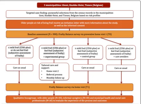 Fig. 1 Flow diagram of the D-SCOPE frailty program
