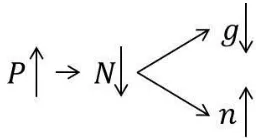 Figure 11. Dependence of gain and the refractive index to input optical power. 