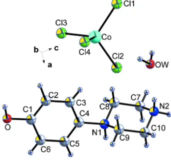 Figure 1An ORTEP of the molecular entities of [C10H18N2O] [CoCl4]·H2O showing the atom numbering scheme