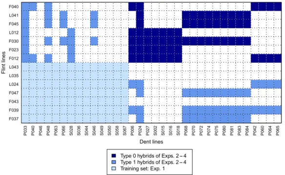 Fig. 1: The 34 dent and 14 flint lines of our data set and the hybrids generated from them