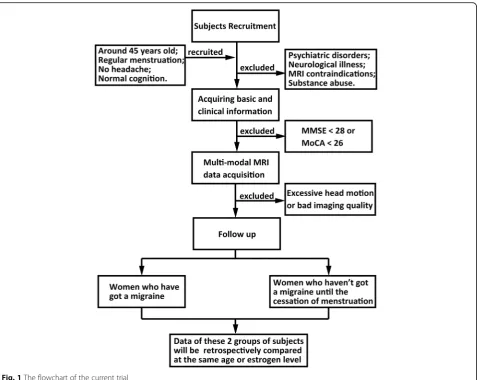 Fig. 1 The flowchart of the current trial